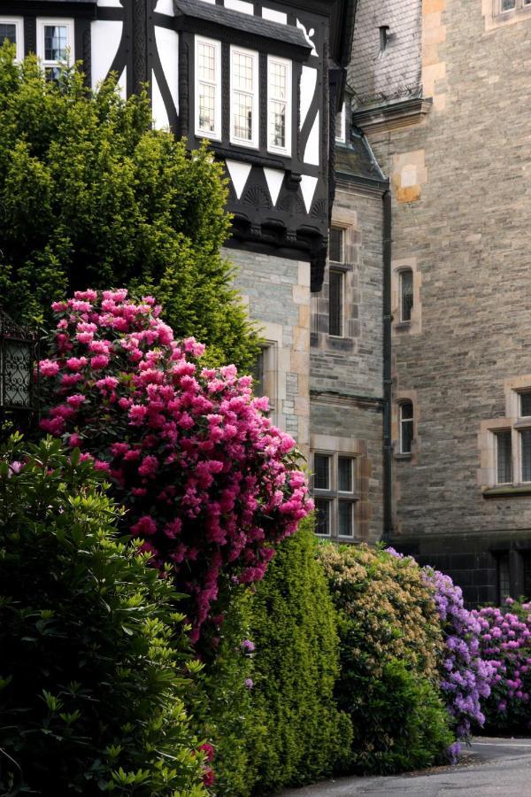 Schlosshotel Kronberg - Hotel Frankfurt Kronberg im Taunus Exteriör bild